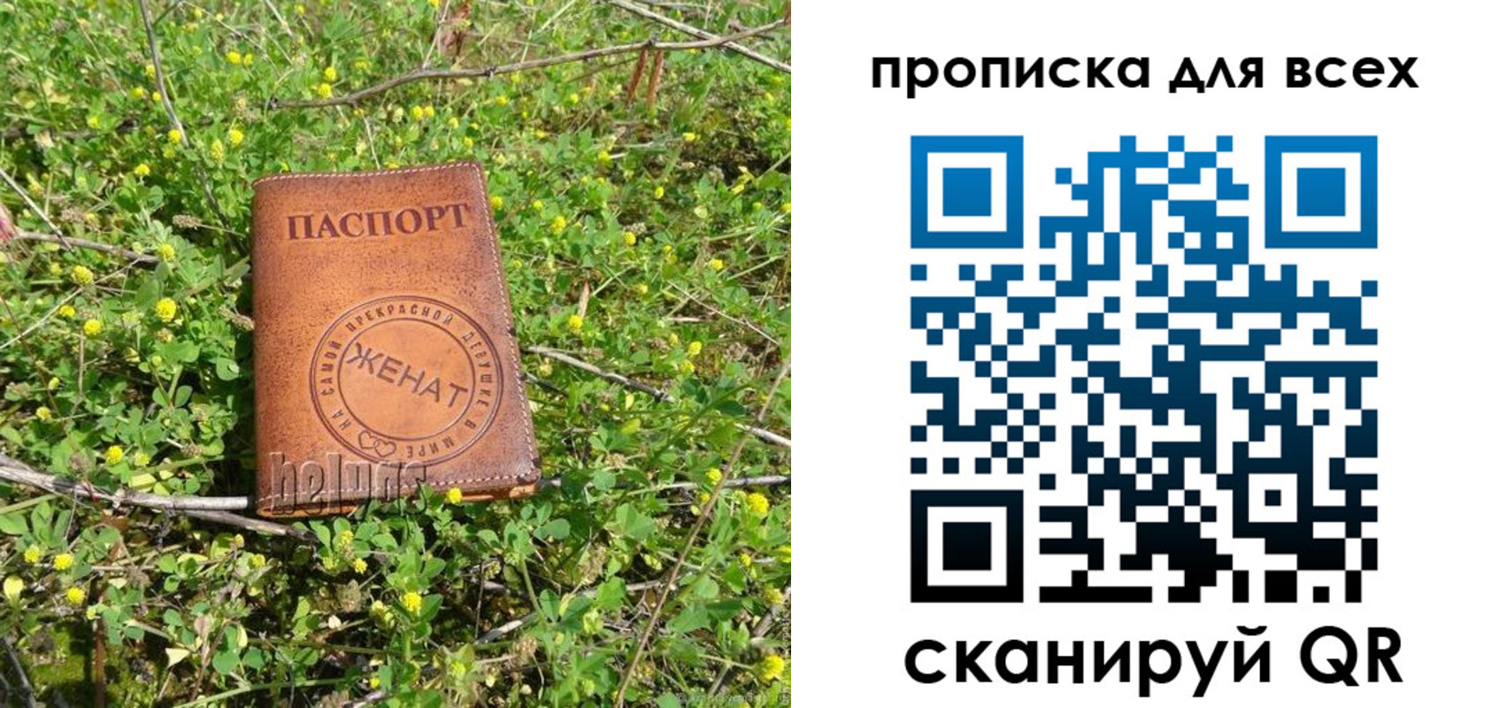 прописка поиск в Новодвинске